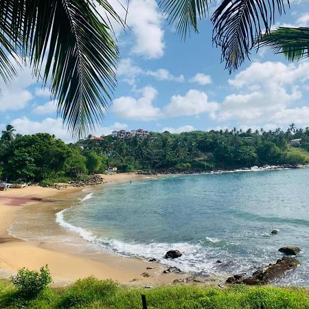 تانجالي Surf Paradise المظهر الخارجي الصورة