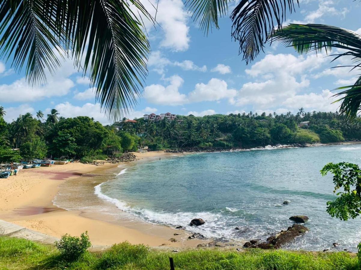 تانجالي Surf Paradise المظهر الخارجي الصورة