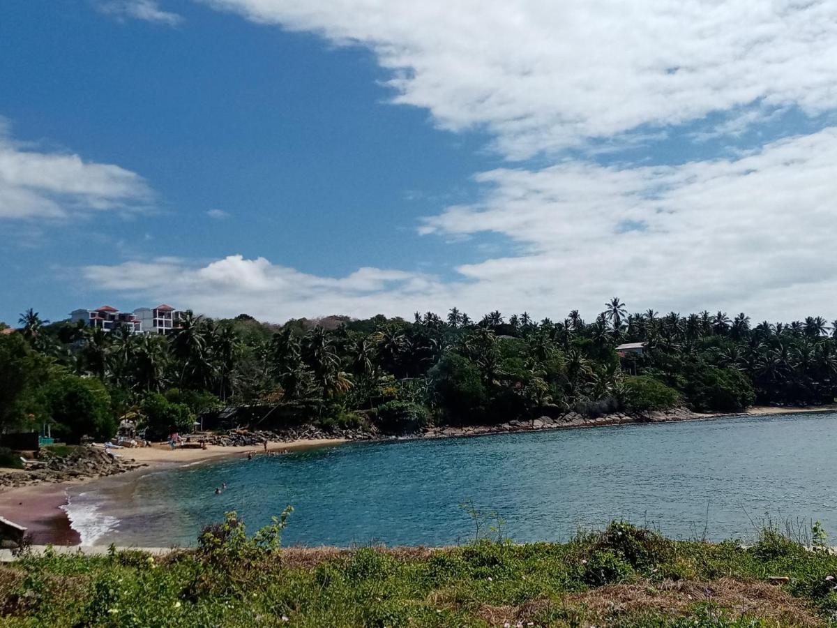 تانجالي Surf Paradise المظهر الخارجي الصورة