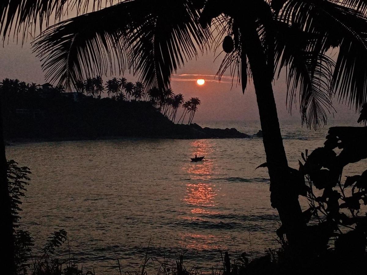 تانجالي Surf Paradise المظهر الخارجي الصورة