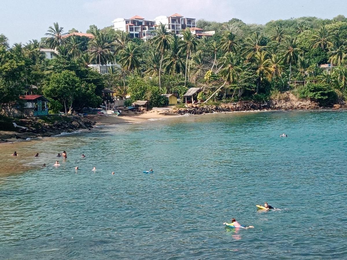 تانجالي Surf Paradise المظهر الخارجي الصورة