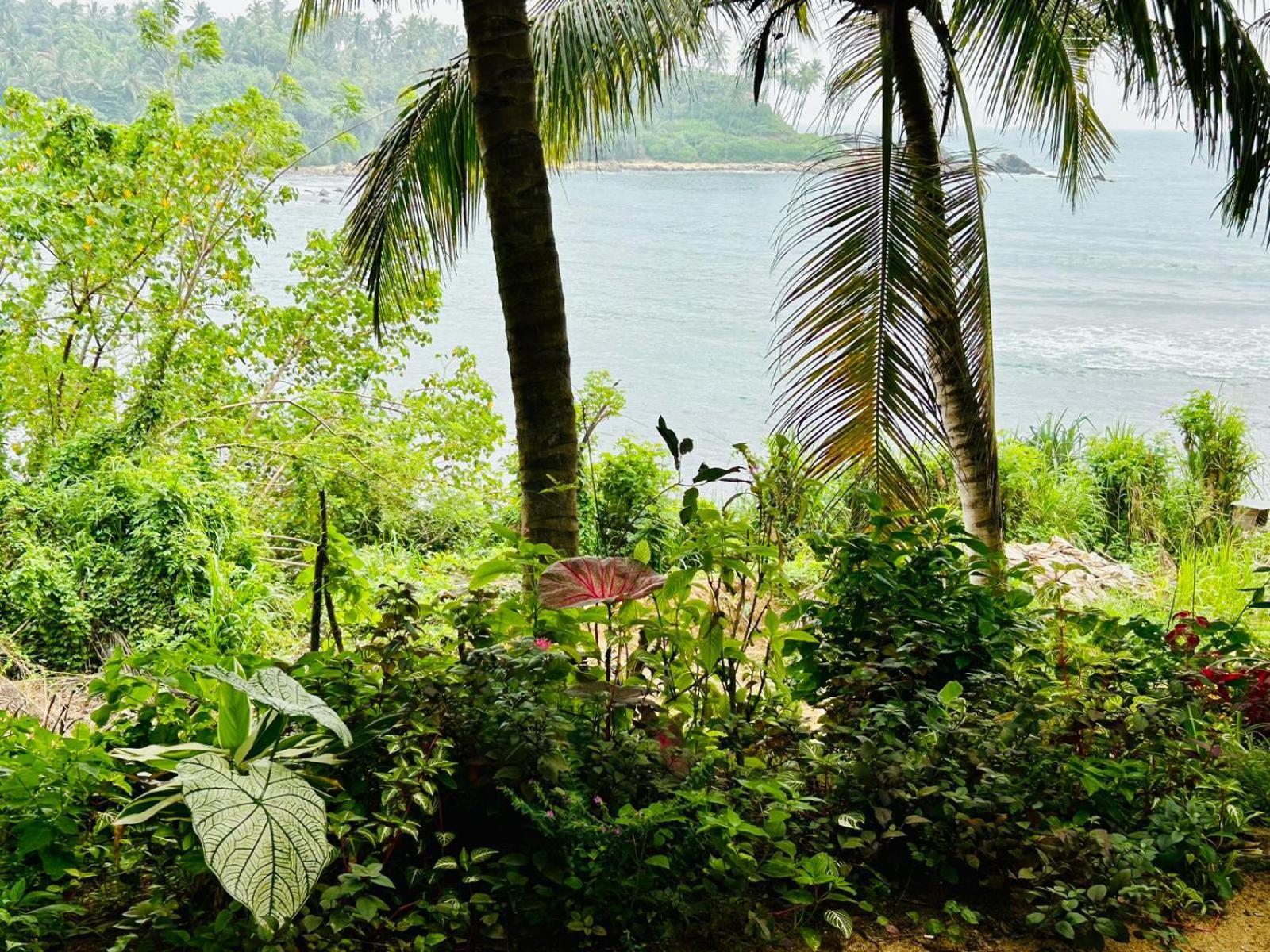 تانجالي Surf Paradise المظهر الخارجي الصورة