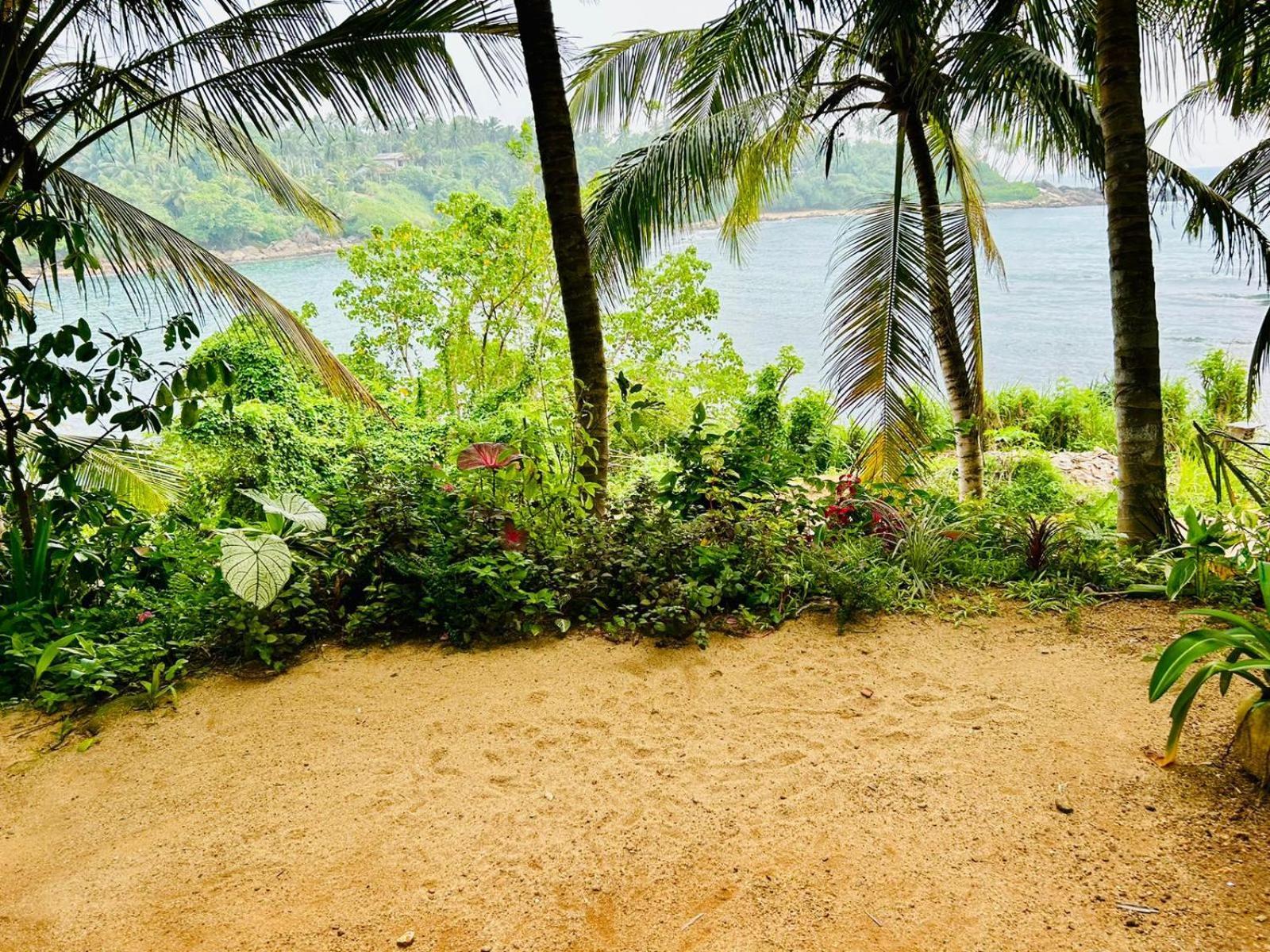 تانجالي Surf Paradise المظهر الخارجي الصورة
