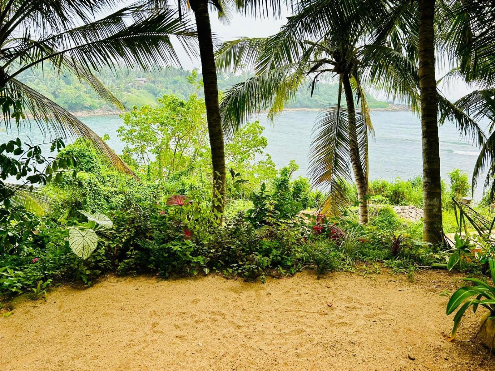 تانجالي Surf Paradise المظهر الخارجي الصورة