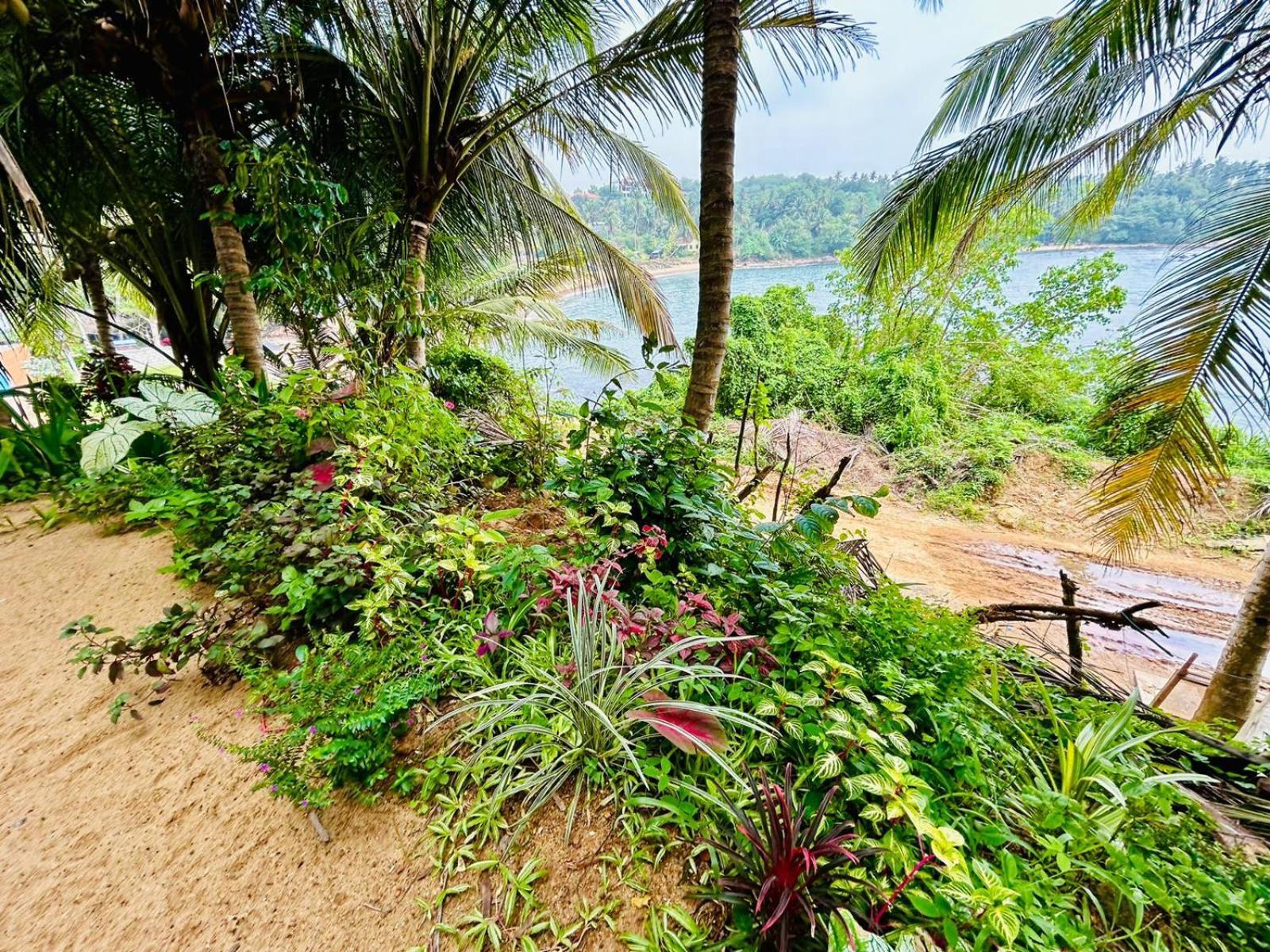 تانجالي Surf Paradise المظهر الخارجي الصورة