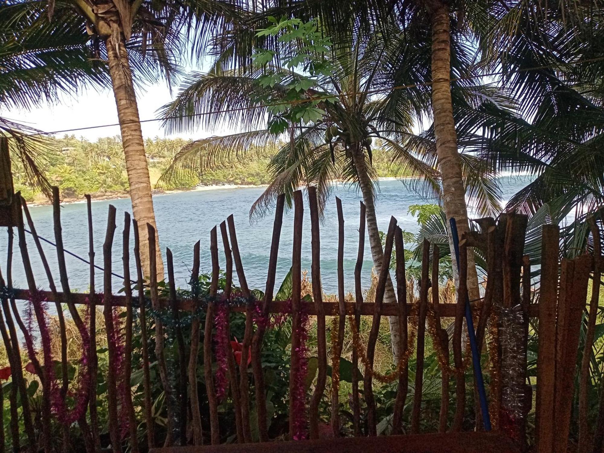تانجالي Surf Paradise المظهر الخارجي الصورة