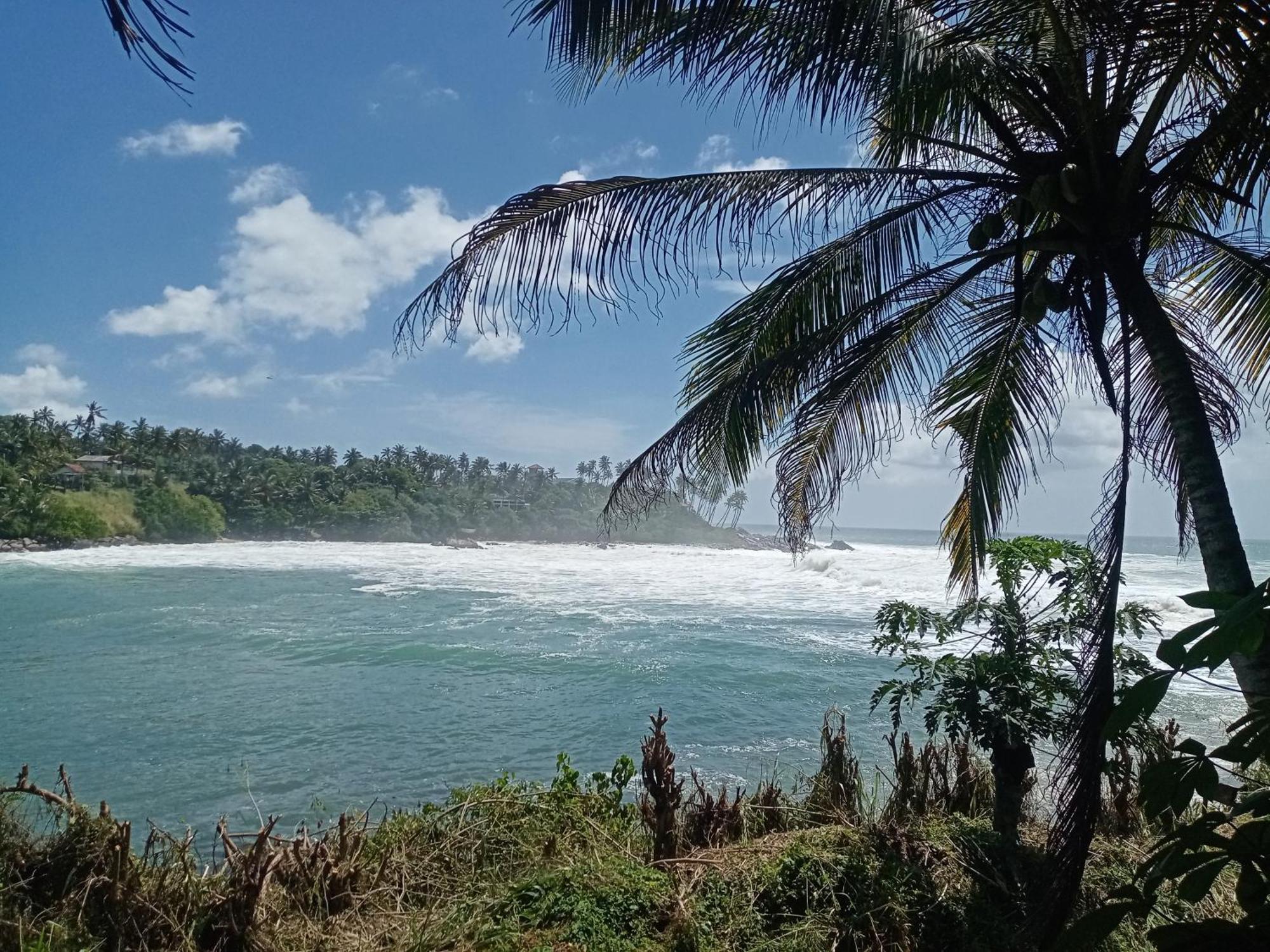 تانجالي Surf Paradise المظهر الخارجي الصورة