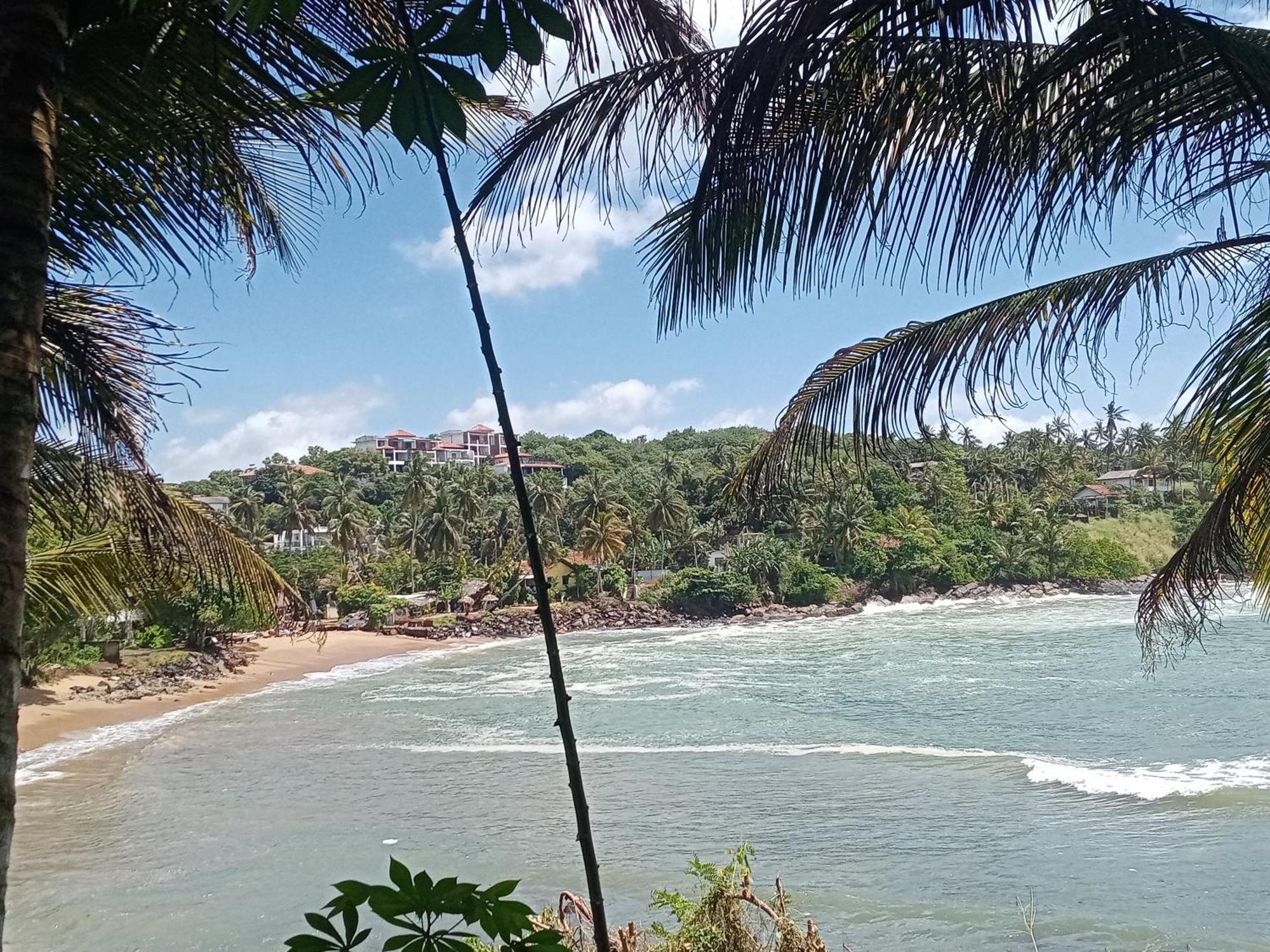 تانجالي Surf Paradise المظهر الخارجي الصورة