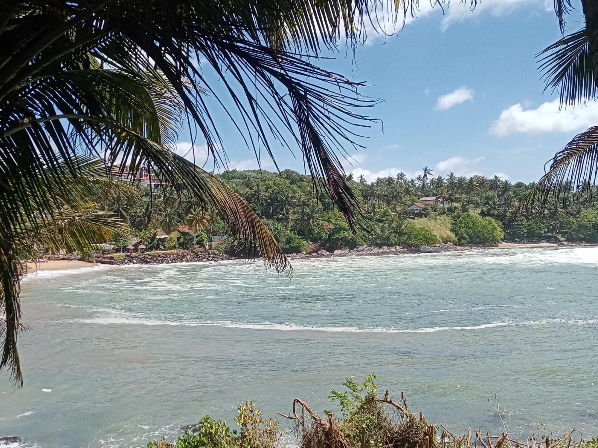 تانجالي Surf Paradise المظهر الخارجي الصورة