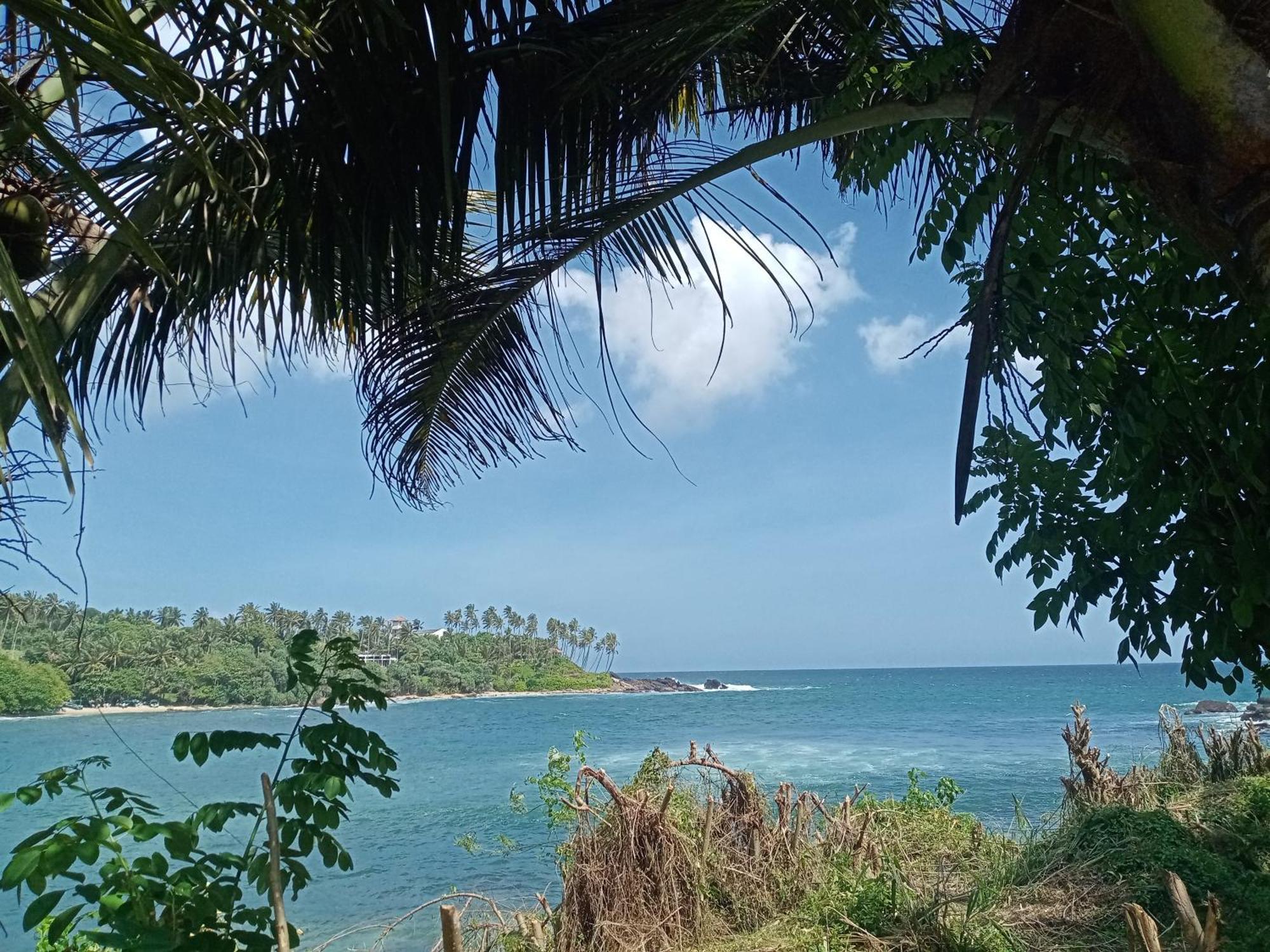 تانجالي Surf Paradise المظهر الخارجي الصورة