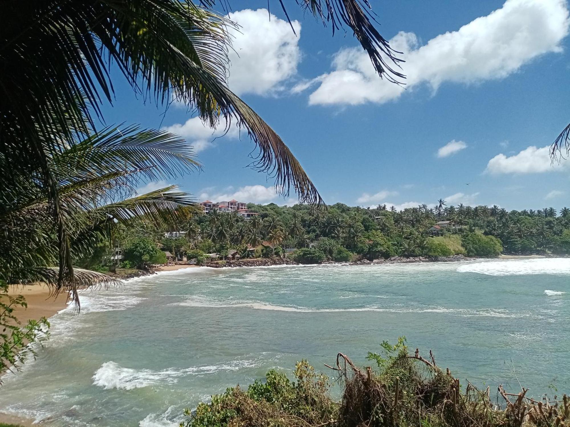 تانجالي Surf Paradise المظهر الخارجي الصورة