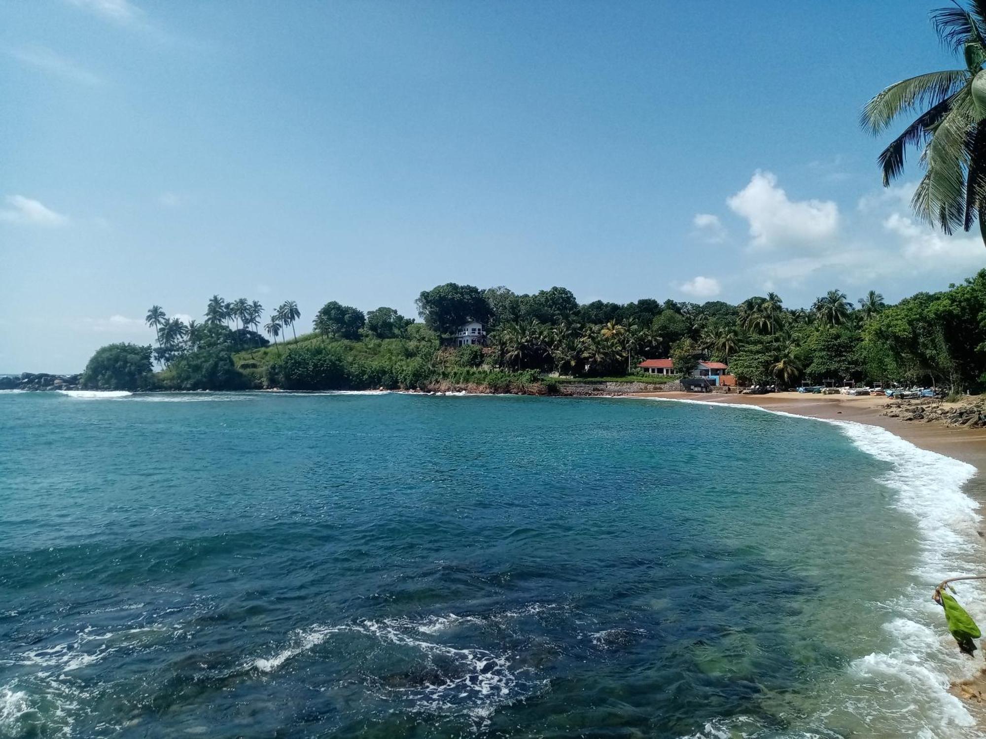 تانجالي Surf Paradise المظهر الخارجي الصورة