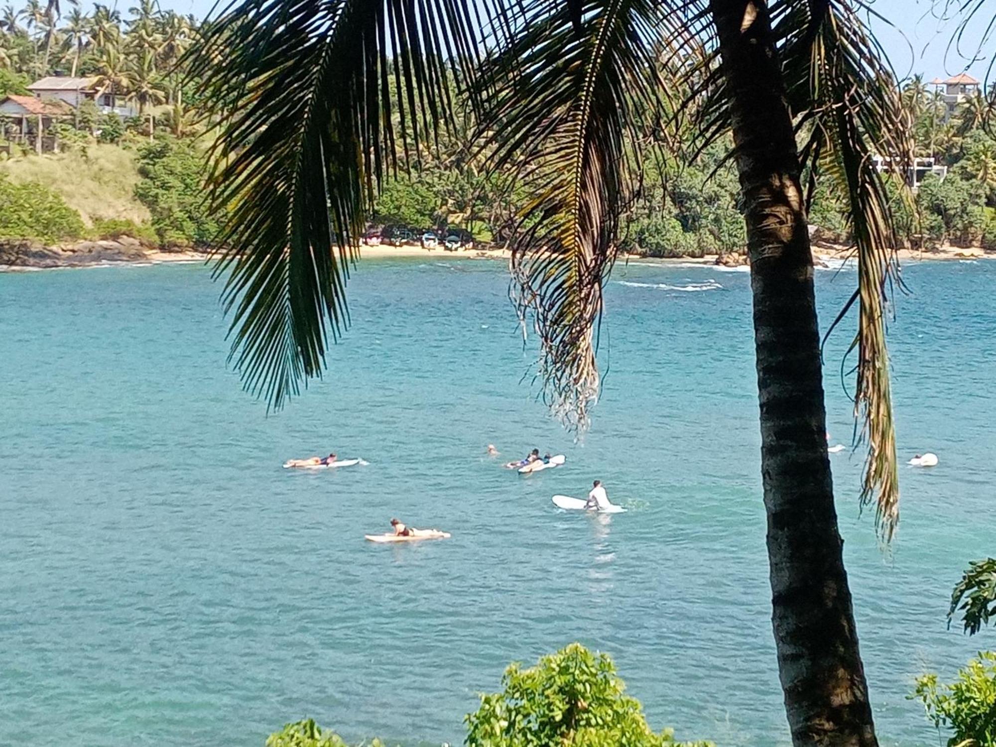 تانجالي Surf Paradise المظهر الخارجي الصورة