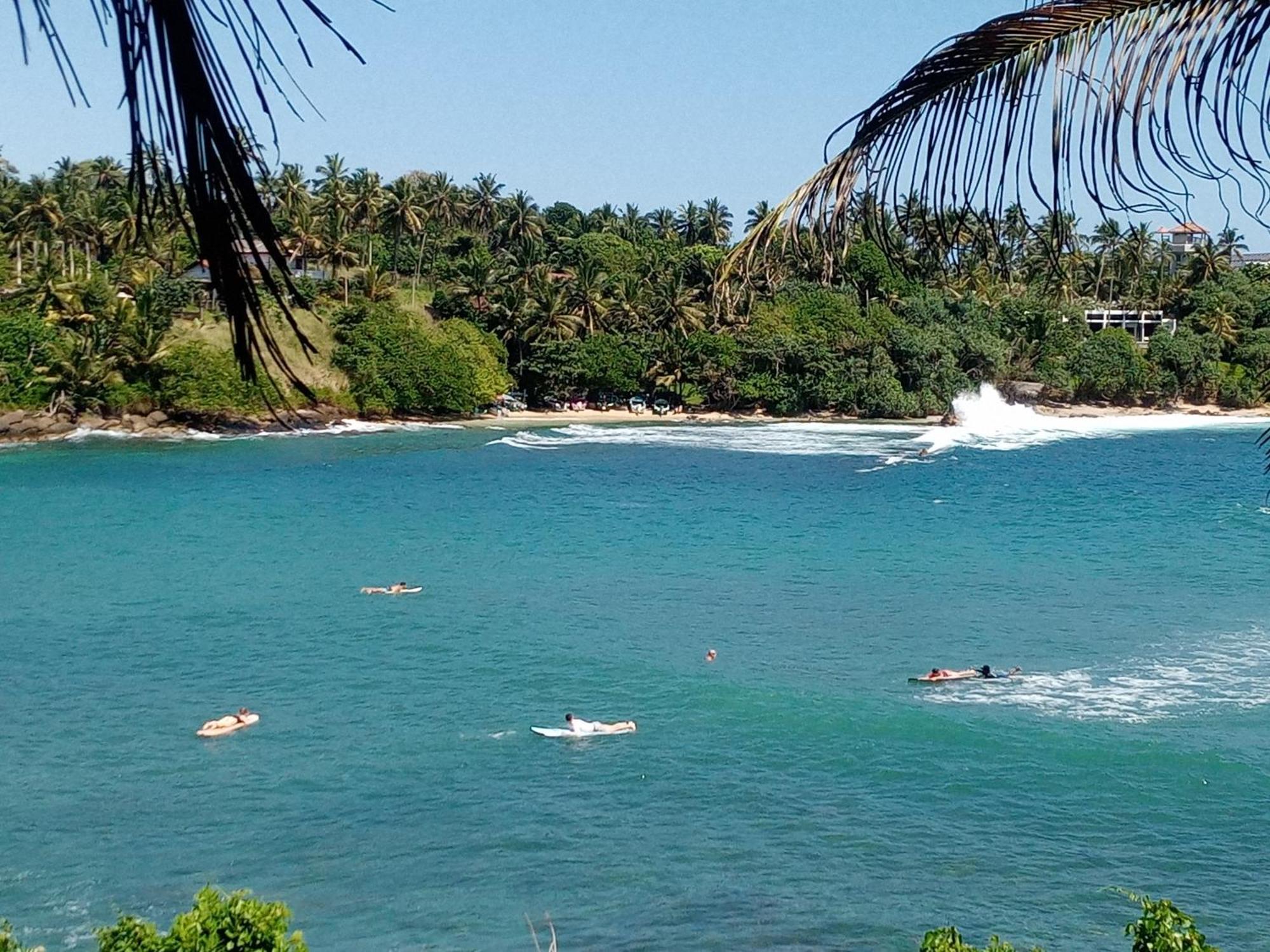 تانجالي Surf Paradise المظهر الخارجي الصورة