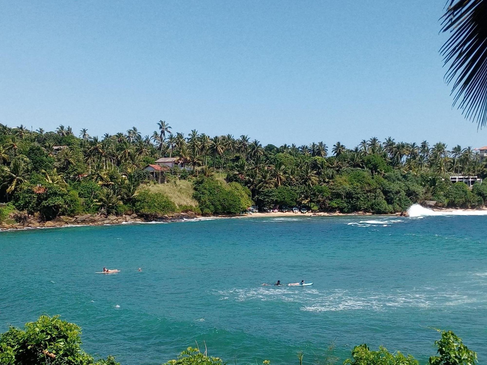 تانجالي Surf Paradise المظهر الخارجي الصورة