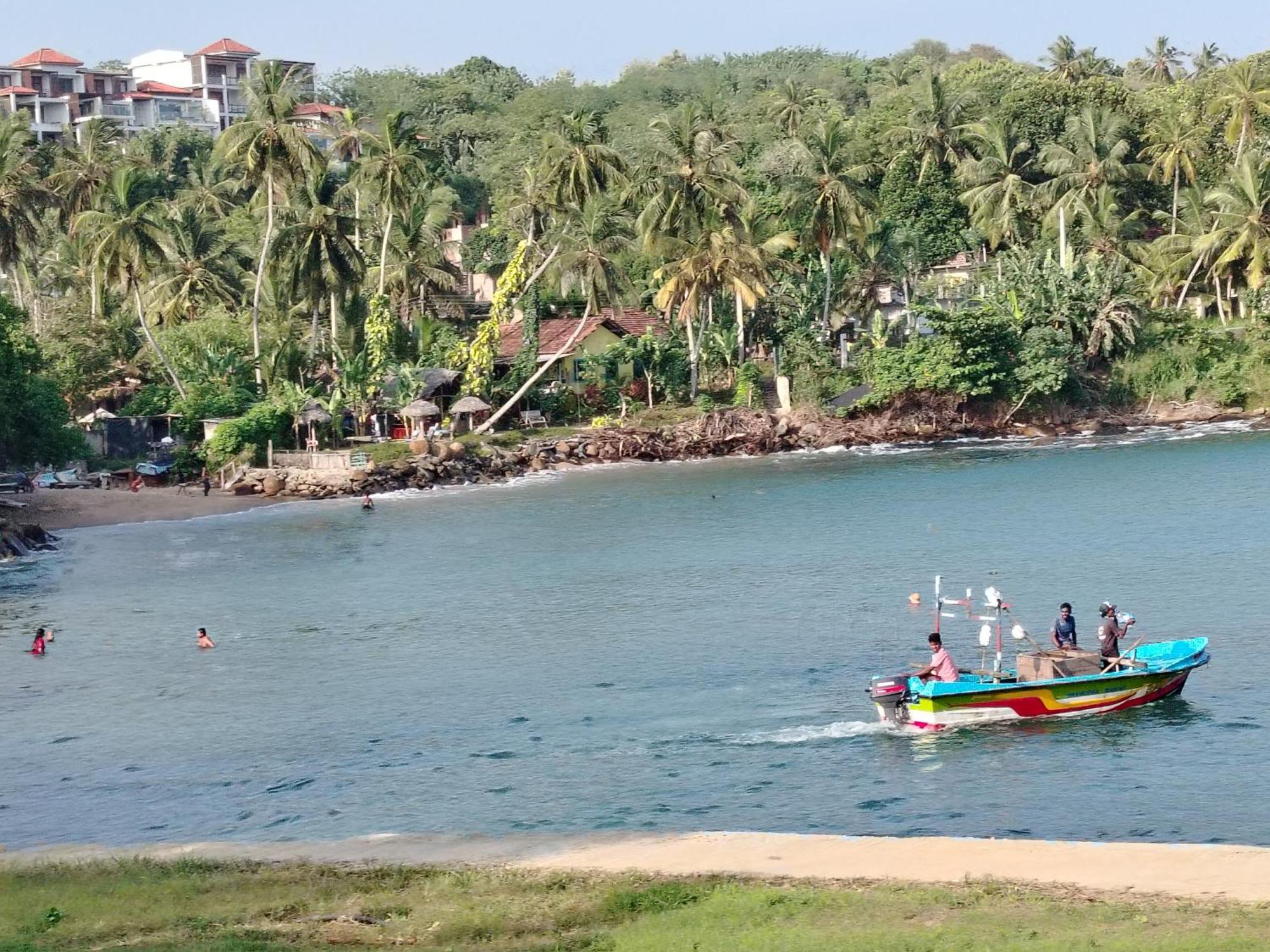 تانجالي Surf Paradise المظهر الخارجي الصورة